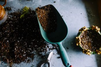 Pile of potting soil with shovel