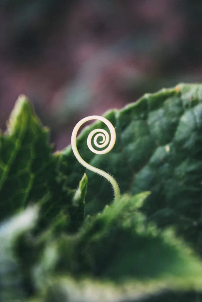 “Stillness is where creativity and solutions to problems are found.” —Eckhart Tolle