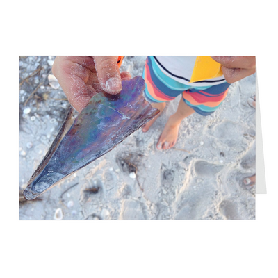 Meghan Nathanson Artistry color photo of child's hands holding a shell on the beach on folded greeting card