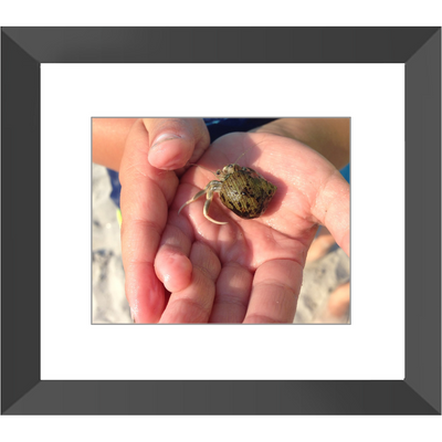 Meghan Nathanson Artistry color photo of child's hands holding a small crab coming out of its shell framed print