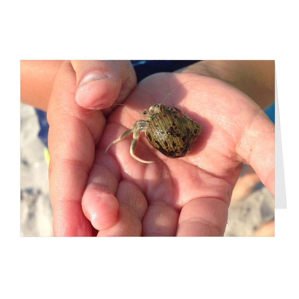 Meghan Nathanson Artistry color photo of child's hands holding a small crab coming out of its shell on folded greeting card