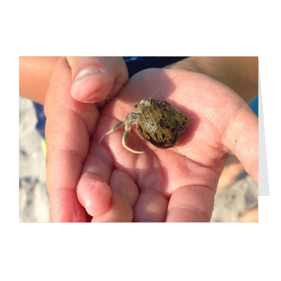 Meghan Nathanson Artistry color photo of child's hands holding a small crab coming out of its shell on folded greeting card