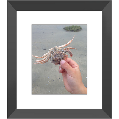 8x10 Framed Prints - "Look What I Found"