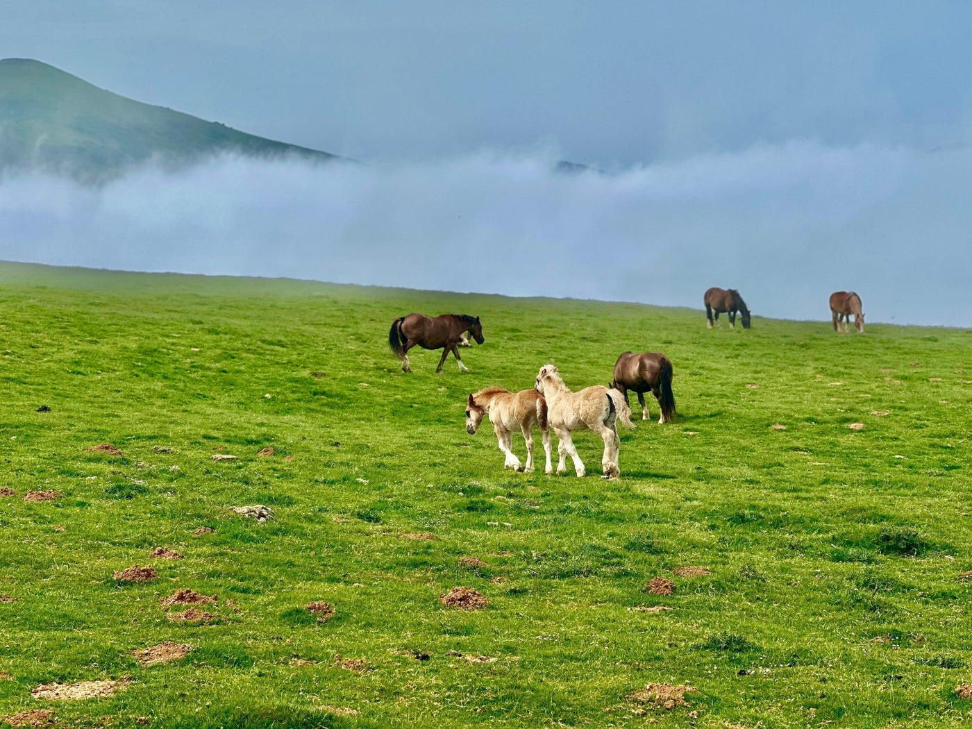 “The place you are is the place you need.” — John O’Donohue