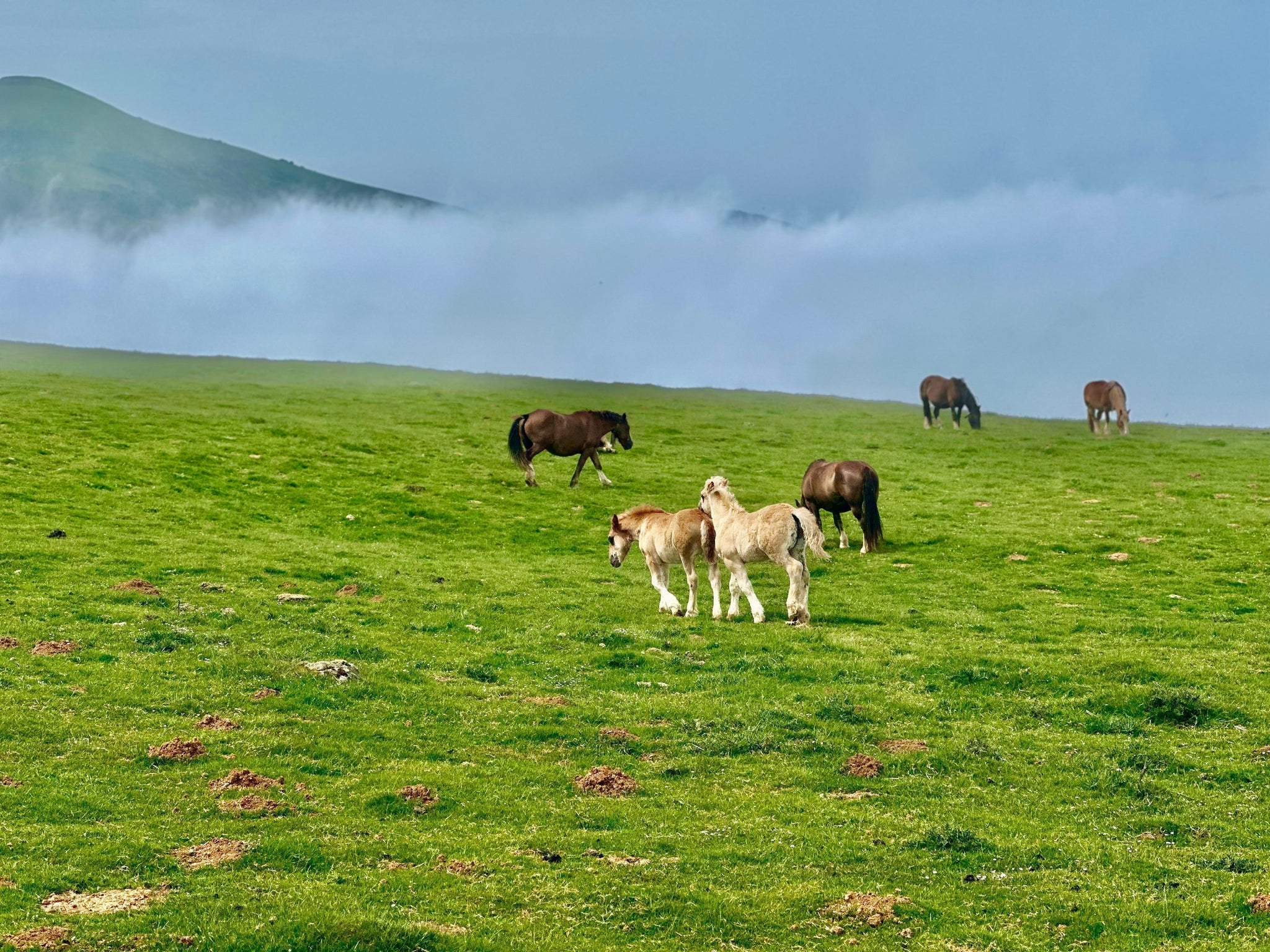 “The place you are is the place you need.” — John O’Donohue