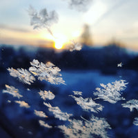 Closeup of snowflakes