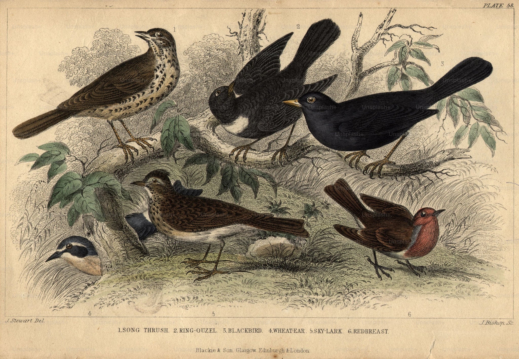 “Learning never exhausts the mind.” —Leonardo da Vinci