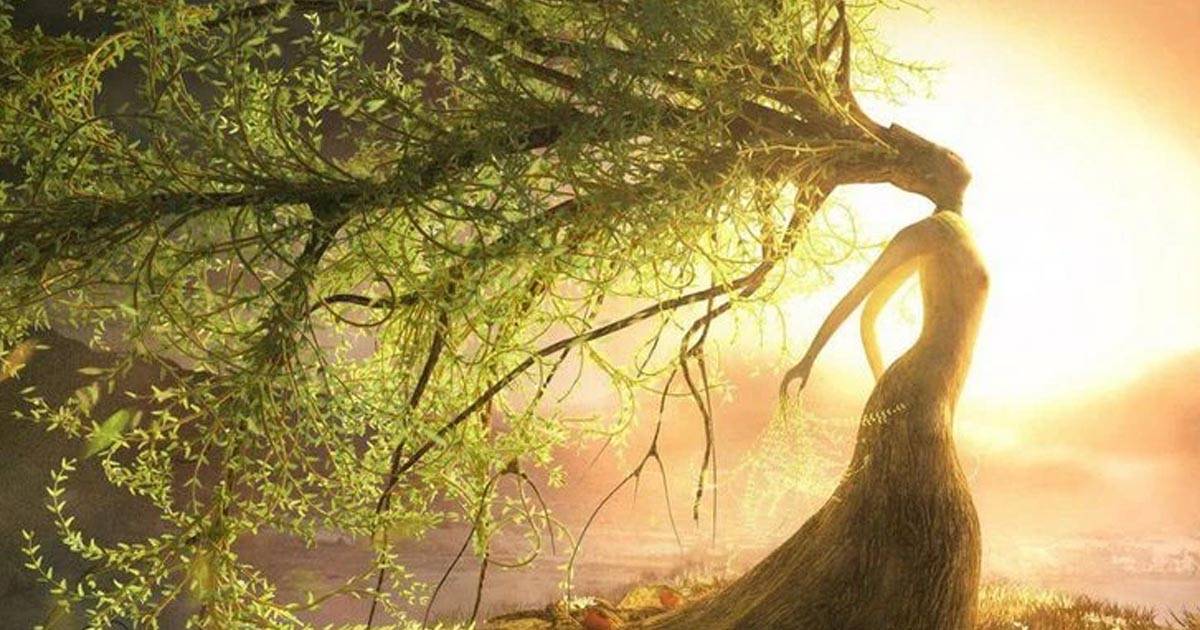 A Mother's Morning Meditation