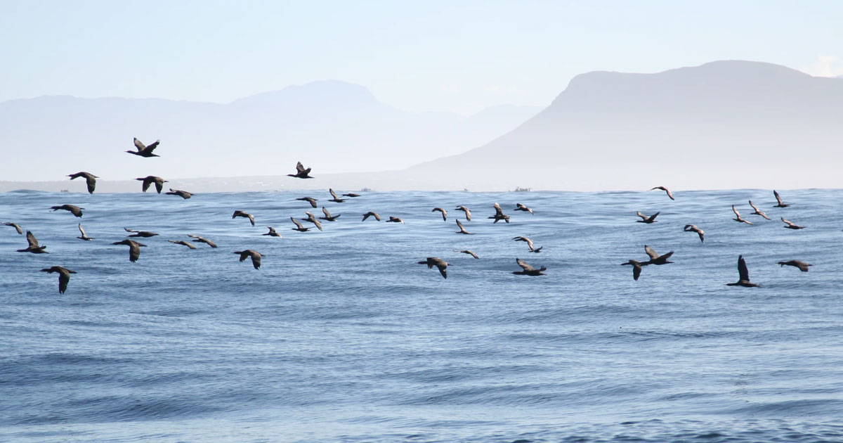 “It’s not what you look at that matters, it’s what you see.” —Henry David Thoreau