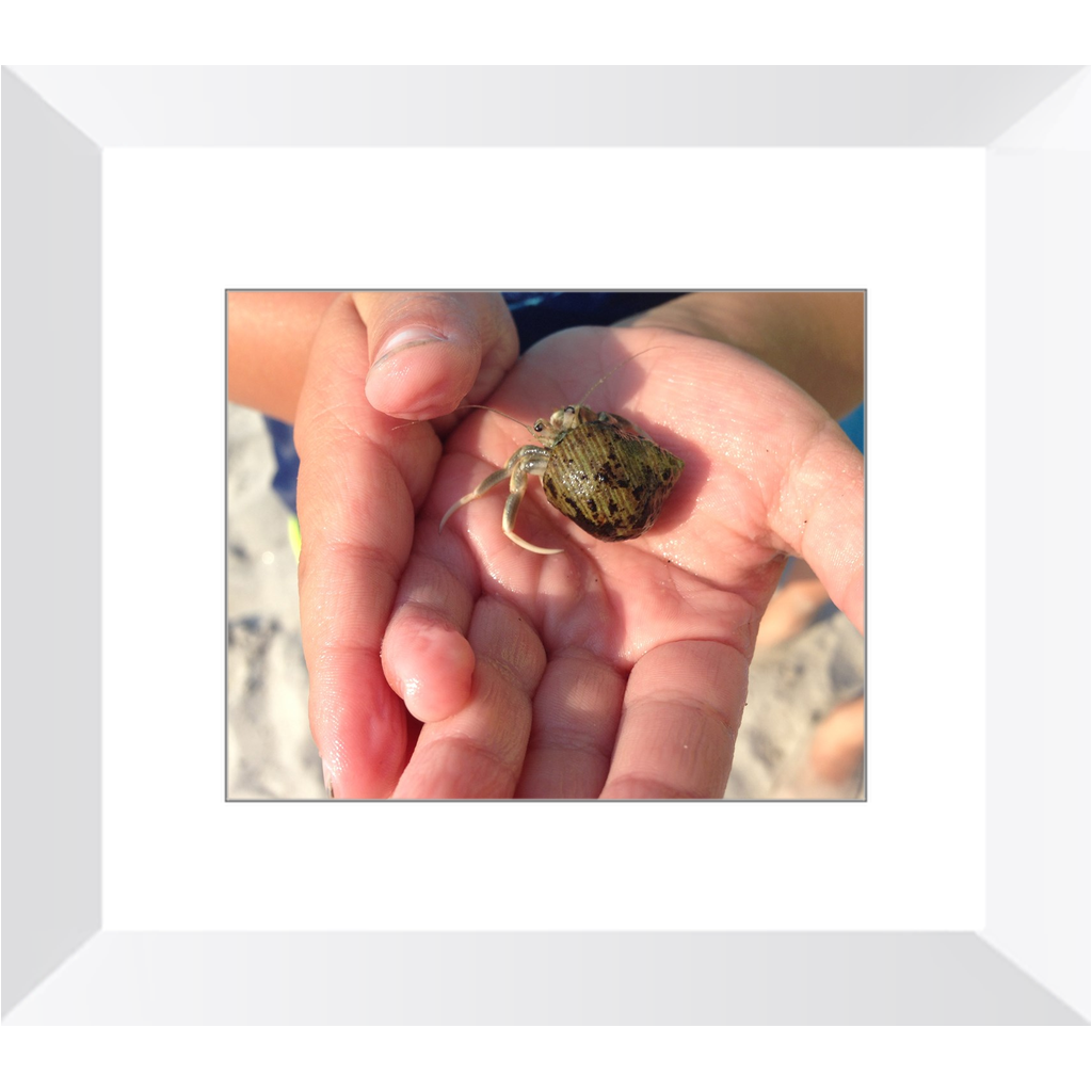 Meghan Nathanson Artistry color photo of child's hands holding a small crab coming out of its shell framed print