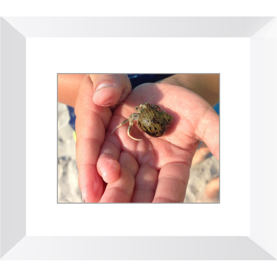 Meghan Nathanson Artistry color photo of child's hands holding a small crab coming out of its shell framed print
