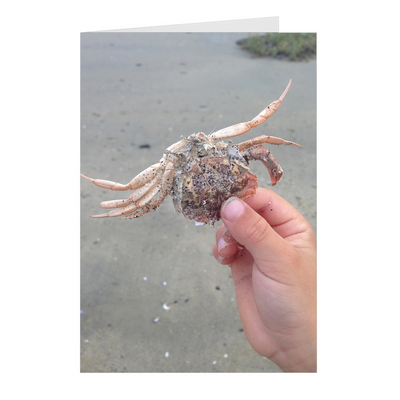 Meghan Nathanson Artistry color photo of child's hands holding a crab on the beach on folded greeting card