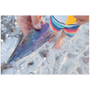 Meghan Nathanson Artistry color photo of child's hands holding a shell on the beach on mini canvas print