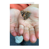 Meghan Nathanson Artistry color photo of child's hands holding a butterlfy on folded greeting card