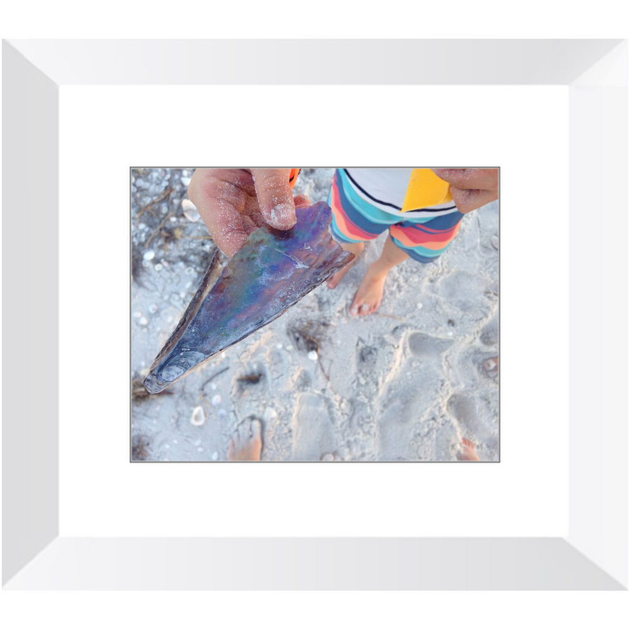 8x10 Framed Prints - "Gifts of the Sea"