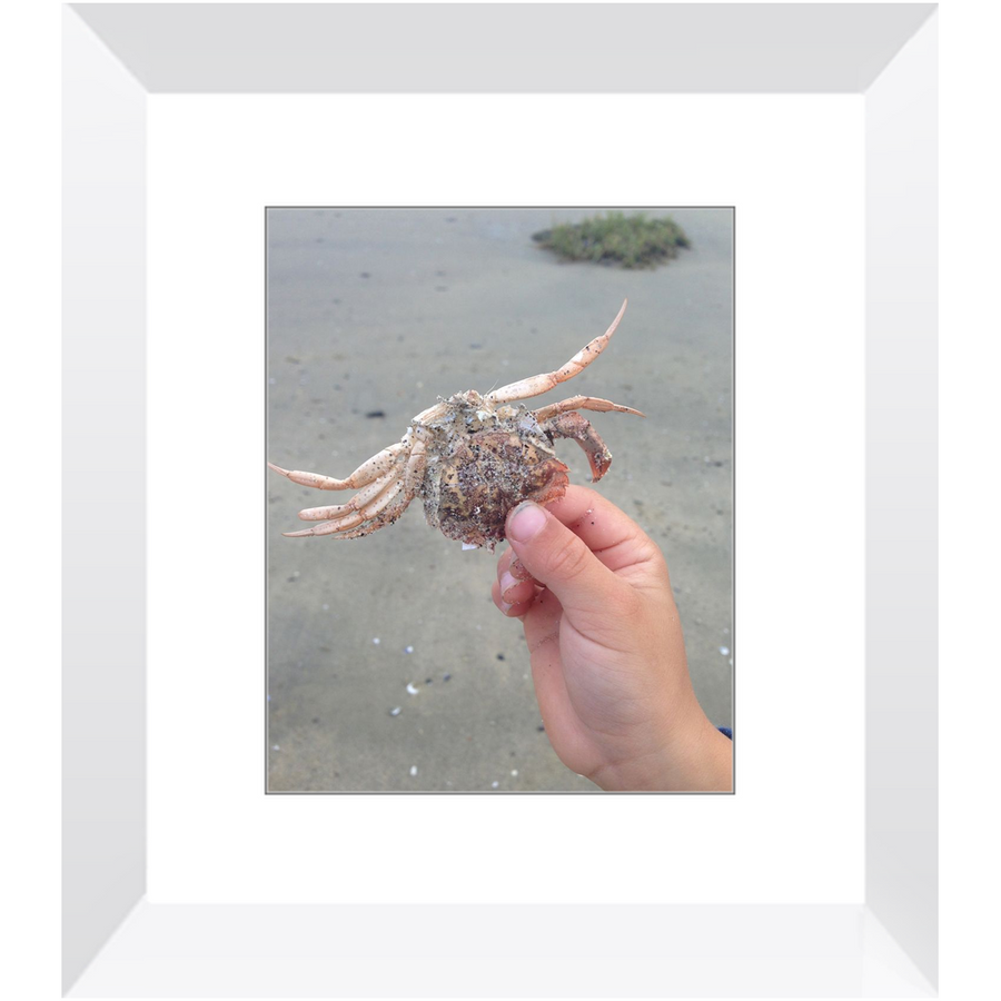 8x10 Framed Prints - "Look What I Found"