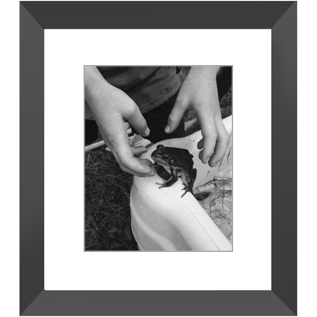 8x10 Framed Prints - "A New Pet"