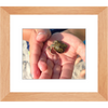 Meghan Nathanson Artistry color photo of child's hands holding a small crab coming out of its shell framed print