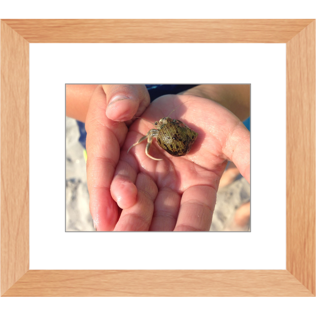 Meghan Nathanson Artistry color photo of child's hands holding a small crab coming out of its shell framed print