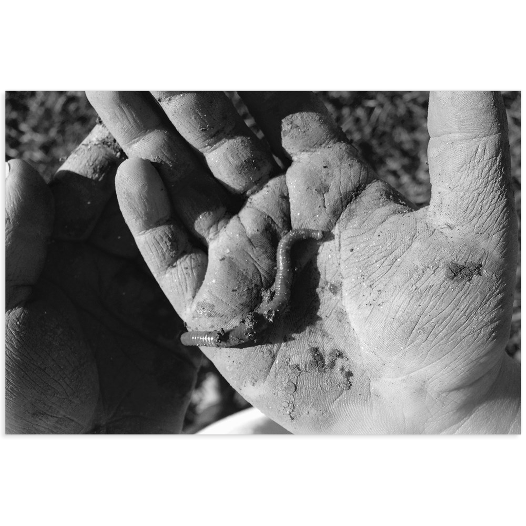 Meghan Nathanson Artistry black and white photo of a child's hands holding a worm on mini canvas print
