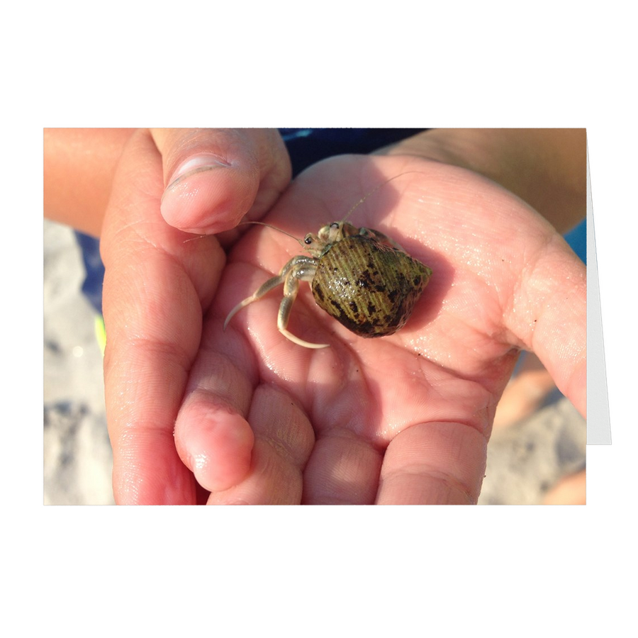 Meghan Nathanson Artistry color photo of child's hands holding a small crab coming out of its shell on folded greeting card